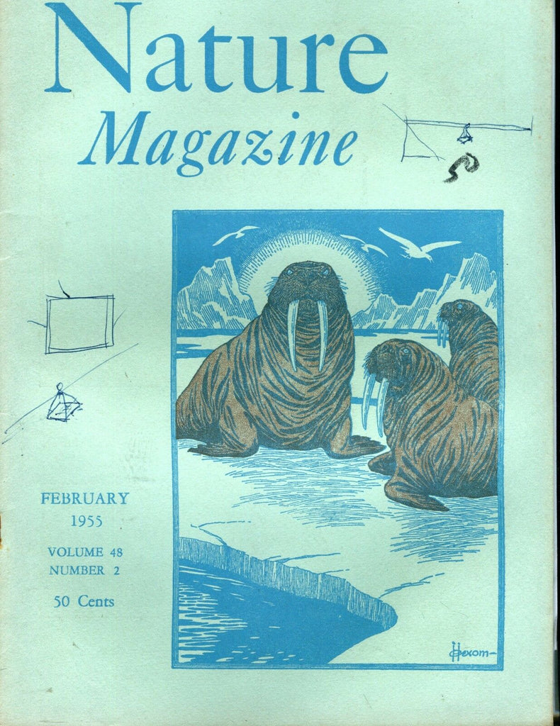 Nature Magazine February 1955 Walrus EX ML On Back 011617jhe