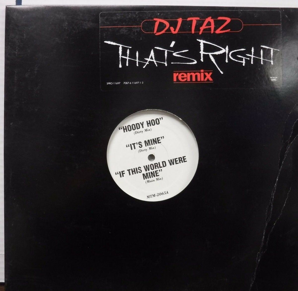 DJ Taz That's Right Remix 33RPM PROMO #11697 010717LLE#2