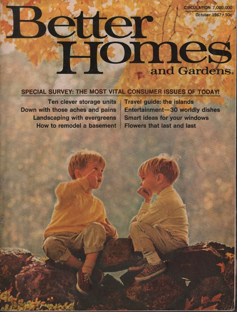 Better Homes And Gardens October 1967 Storage Units, Landscaping 072617nonDBE2