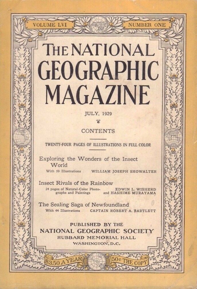 National Geographic July 1929 Insect Rivals of The Rainbow 020717DBE