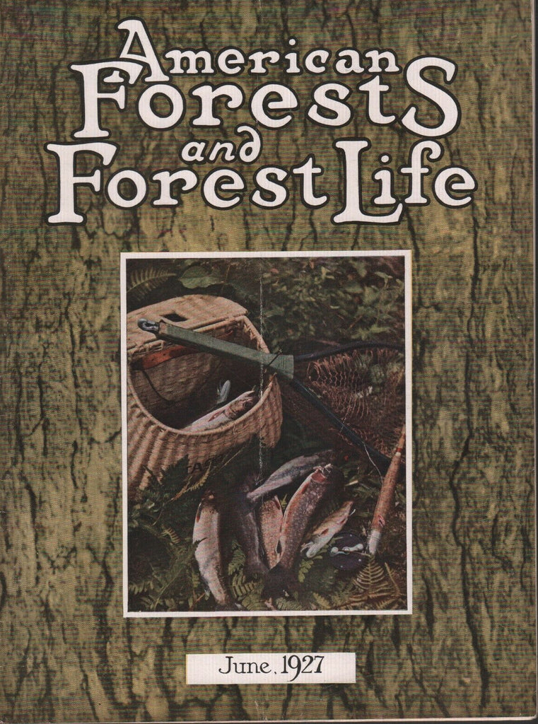 American Forests and Forest Life June 1927 George D Pratt 081518DBE3