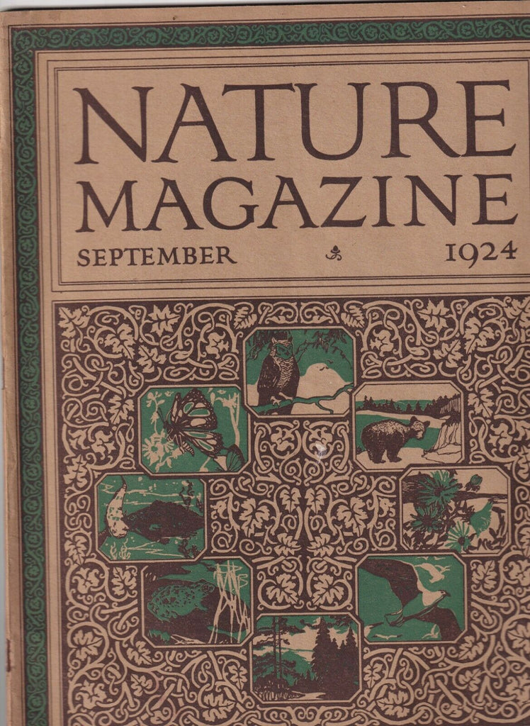 Nature Magazine Family Of The American Eagle September 1924 081419nonr