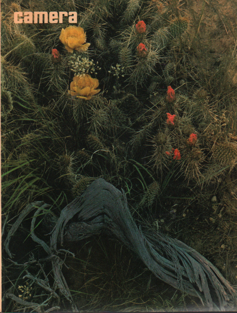 Camera Magazine Vintage 1971 #3 Afga English Edition 050420AME