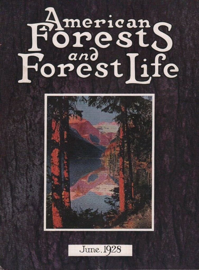 American Forests and Forest Life June 1928 Lake Louise at Banff 081518DBE3
