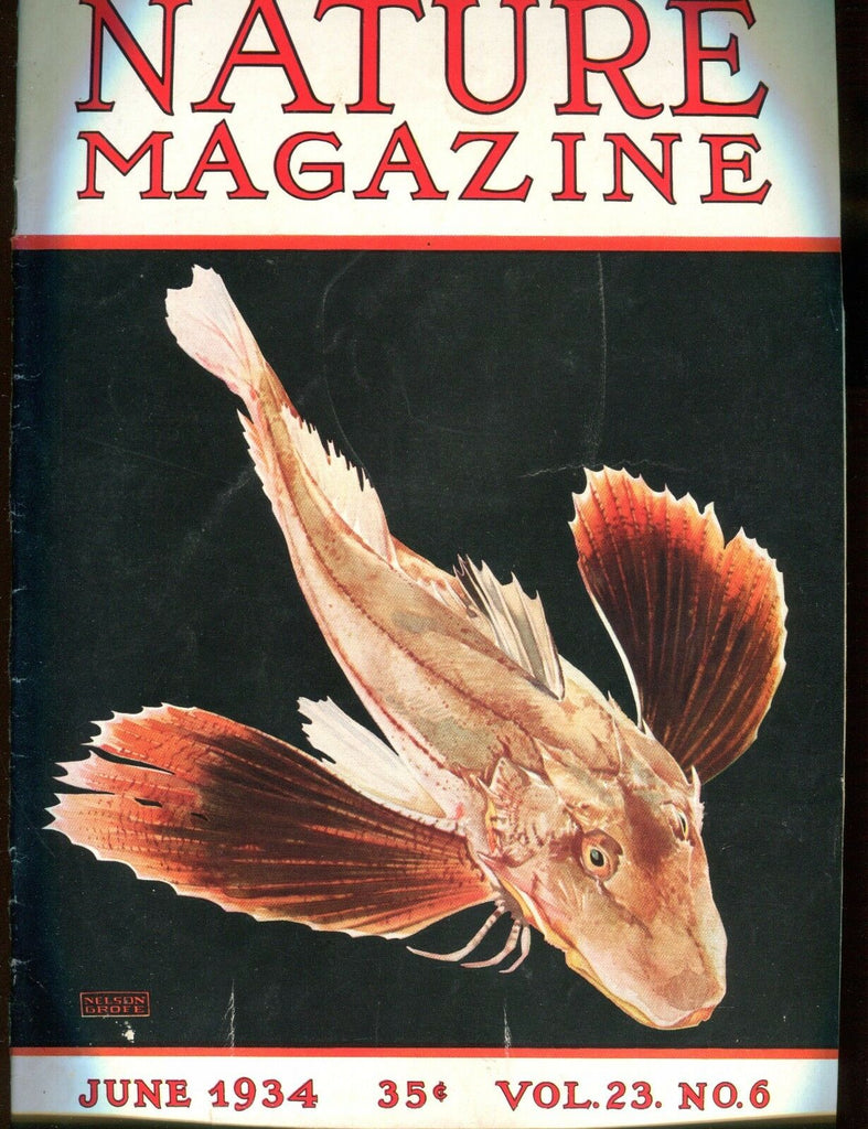 Nature Magazine June 1934 Fish VG No ML 020817jhe