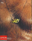 Sticky Image
