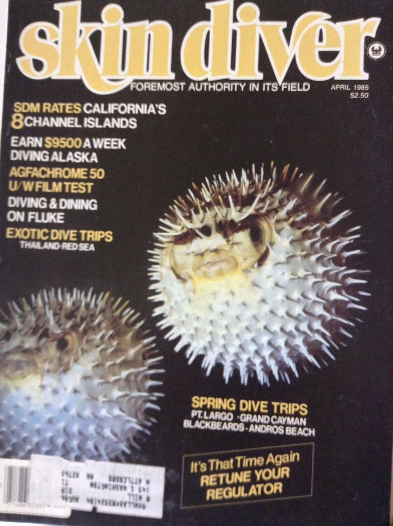 Skin Diver Magazine California's 8 Channel Islands April 1985 090717nonrh