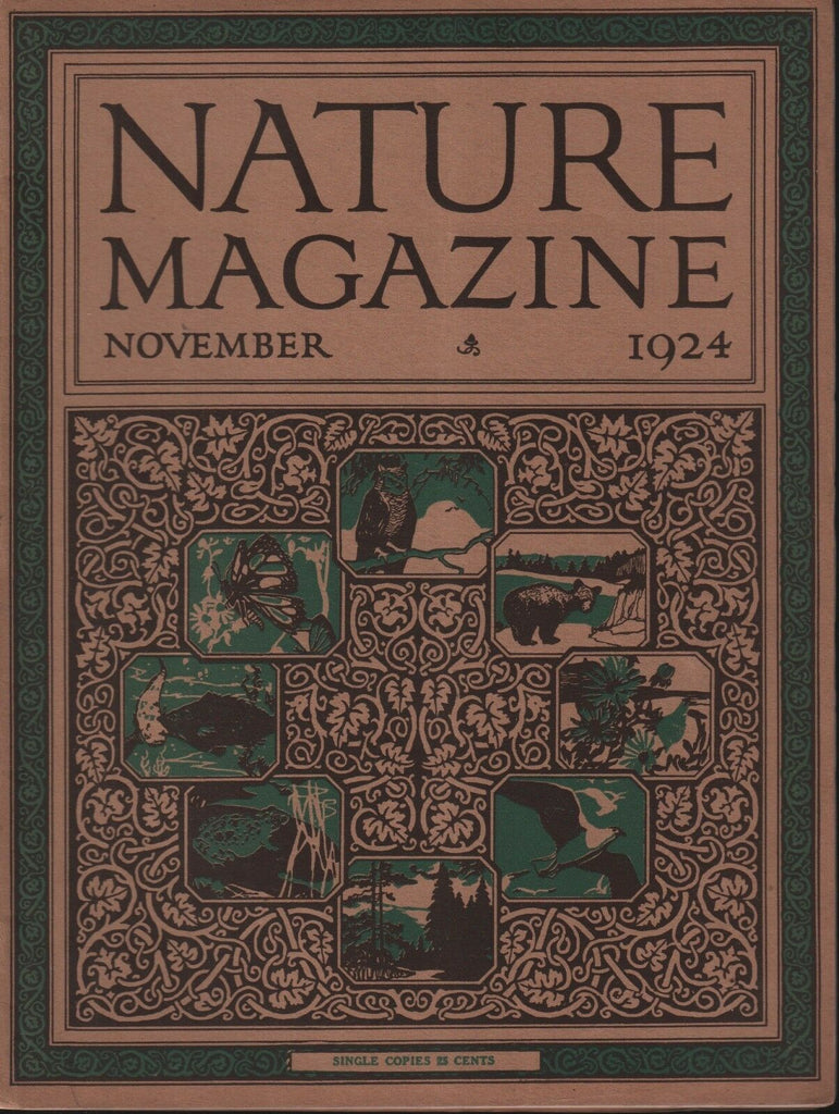 Nature Magazine November 1924 Bruce Horsfall 101518ame3