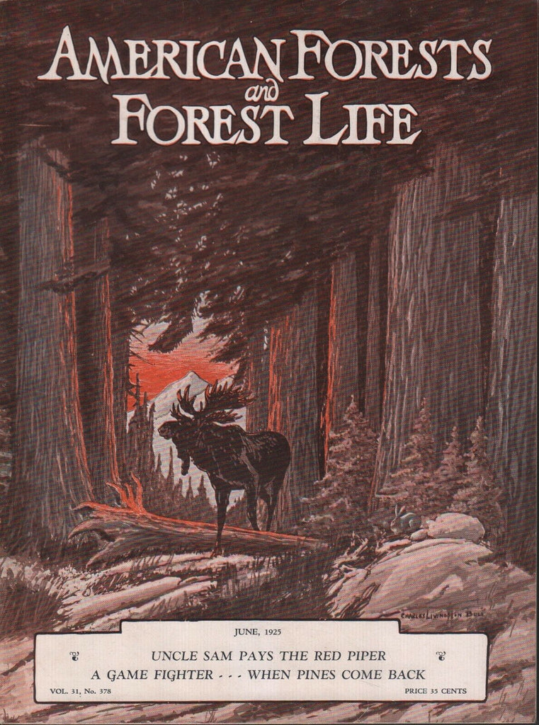American Forest and Forest Life June 1925 Oliver P Newman 081518DBE3