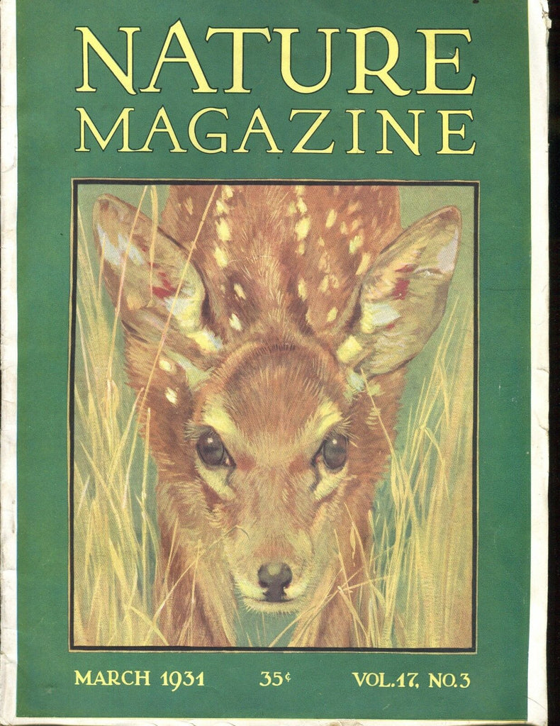Nature Magazine March 1931 Deer VG No ML 020617jhe