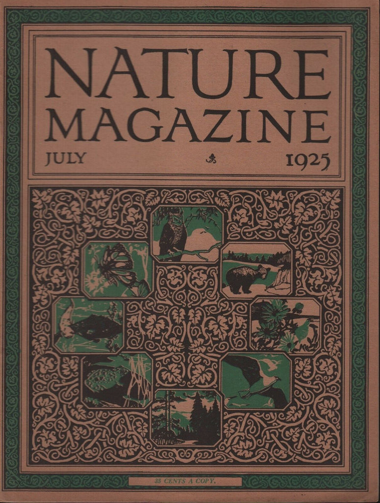 Nature Magazine July 1925 Bruce Horsfall 101518ame3
