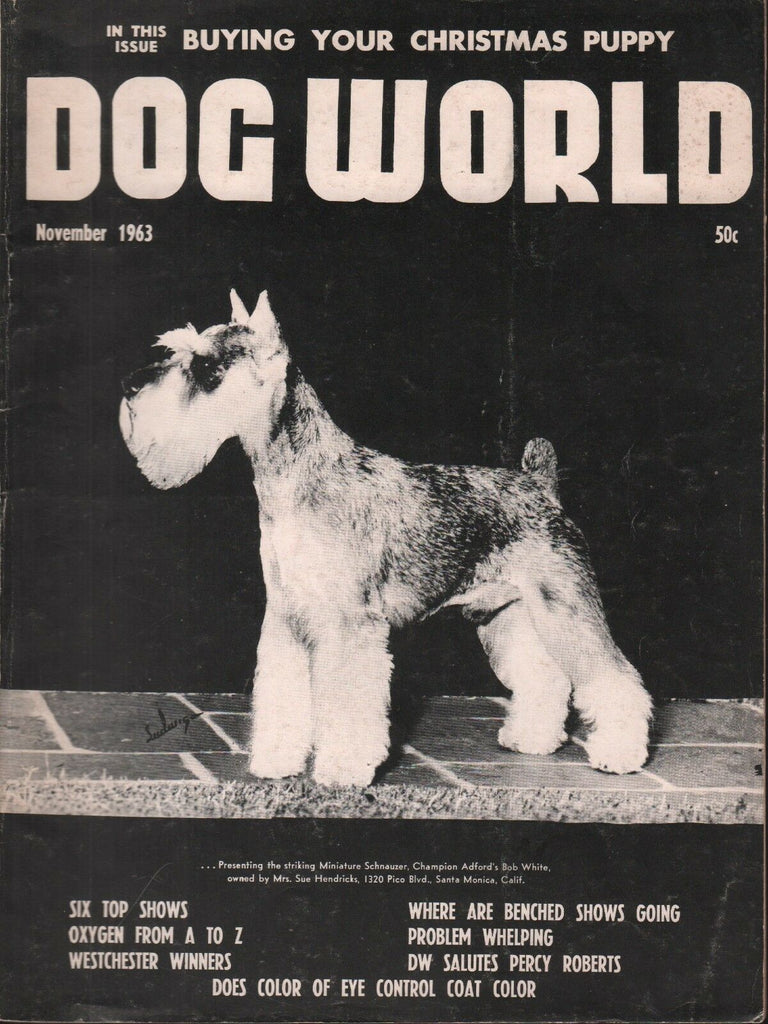 Dog World November 1963 Miniature Schnauzer 092518AME