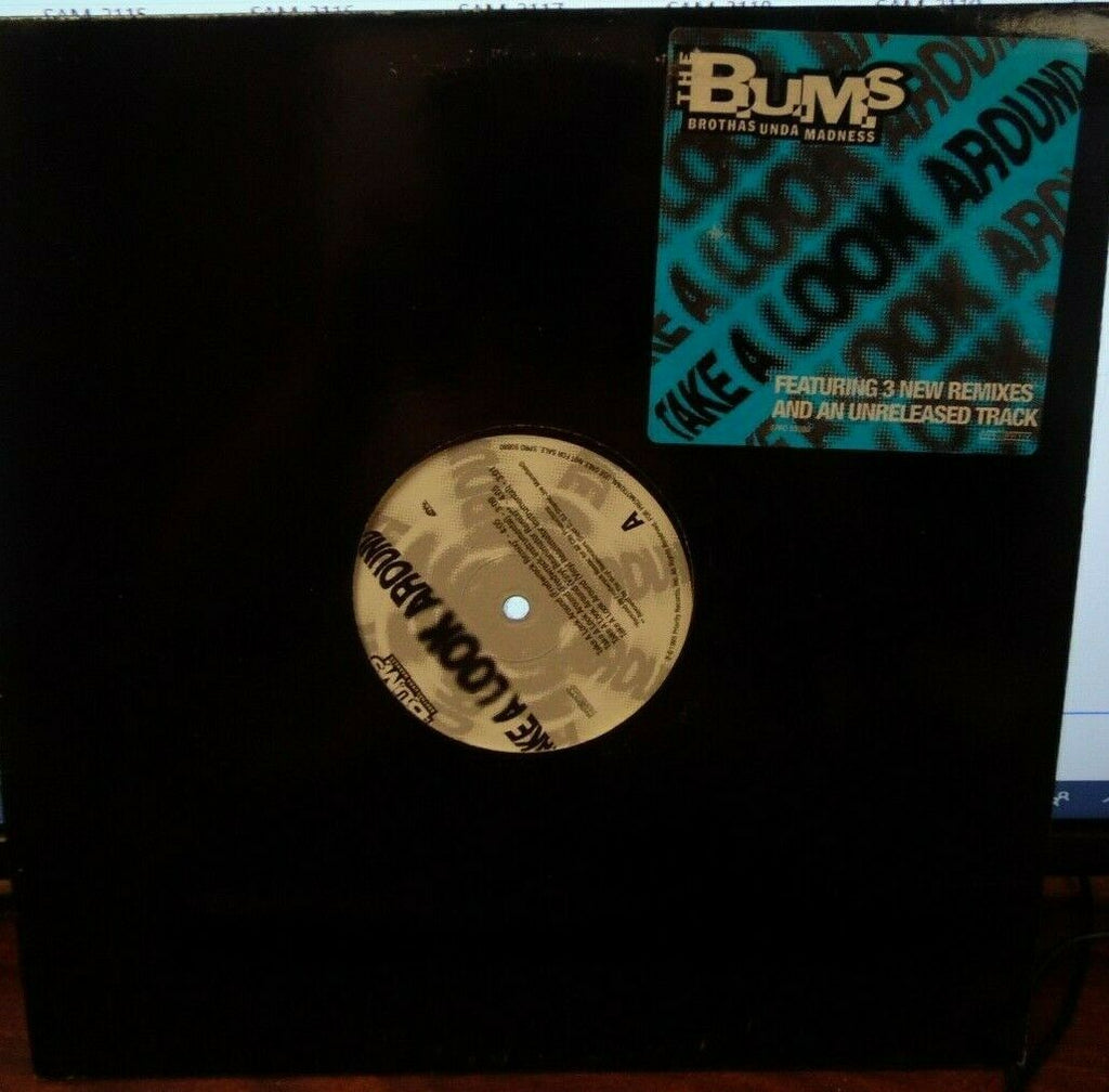 The Bums Brothas Unda Madnes Take a Look Around 12" single 1995 091519LLE