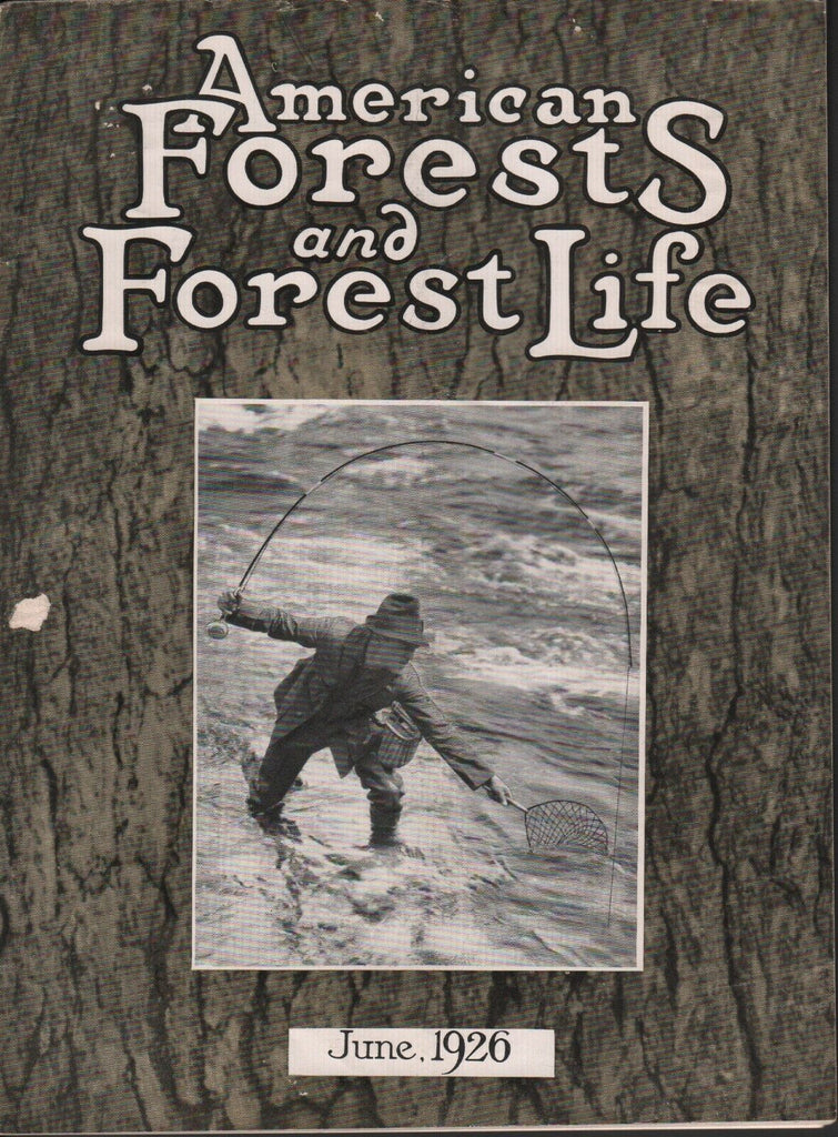 American Forest and Forest Life June 1926 Armstrong Roberts CP Wilber 081518DBE3