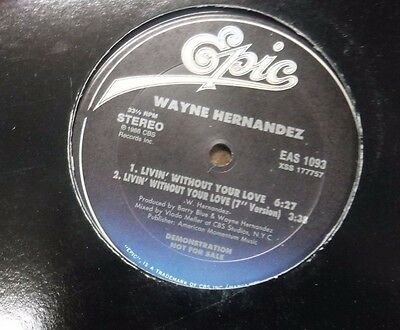 Wayne Hernandez Living without your love 33 RPM Single EAS 1093 091116LLE