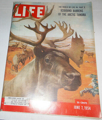 Life Magazine Icebound Bareens Of The Arctic Tundra June 1954 072214R1