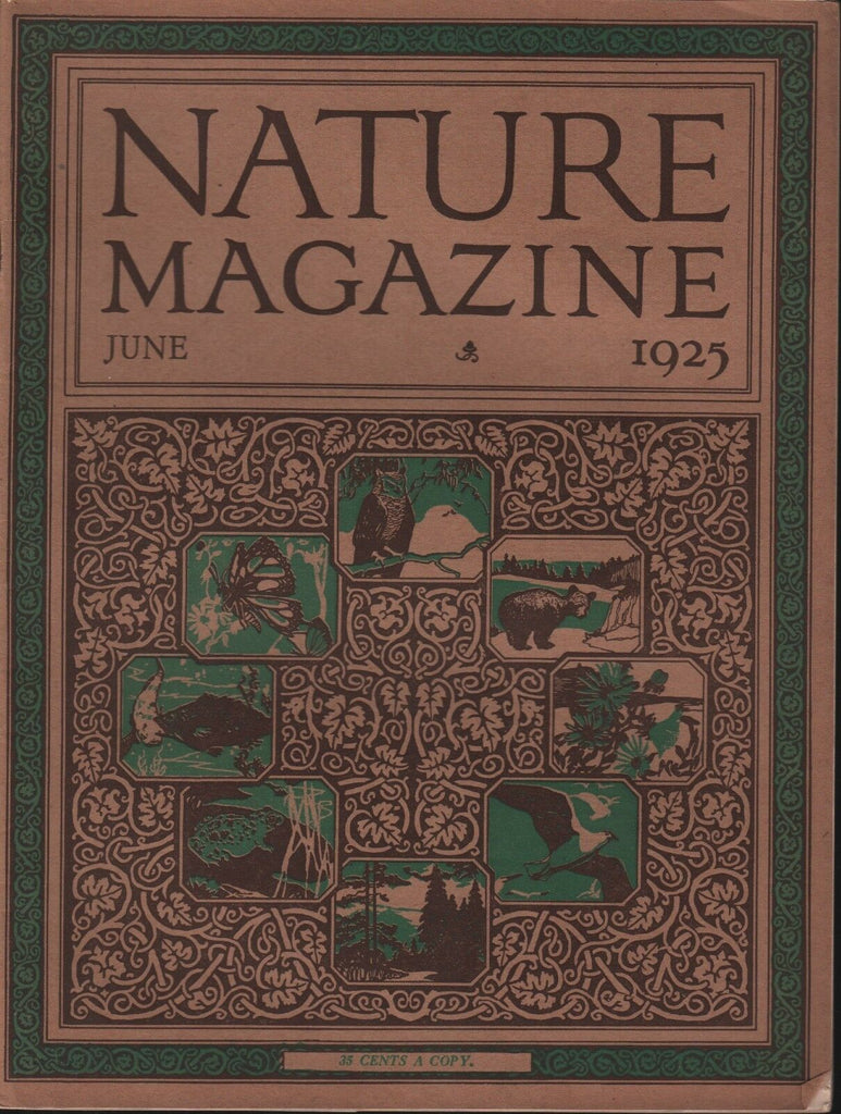 Nature Magazine June 1925 Vintage Irene Finley 101518ame3
