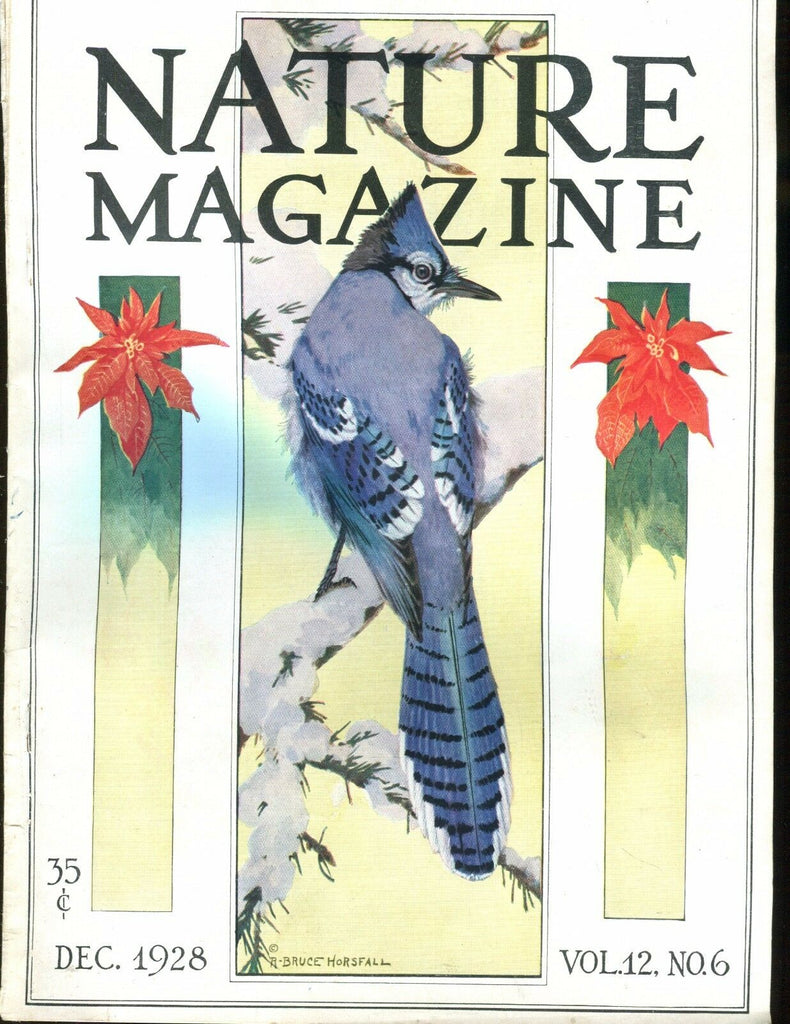Nature Magazine December 1928 Blue Jay VG No ML 020617jhe