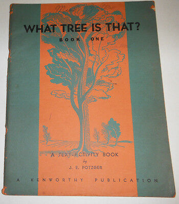 What Tree Is That? Magazine A Text Activity Book One 081914R