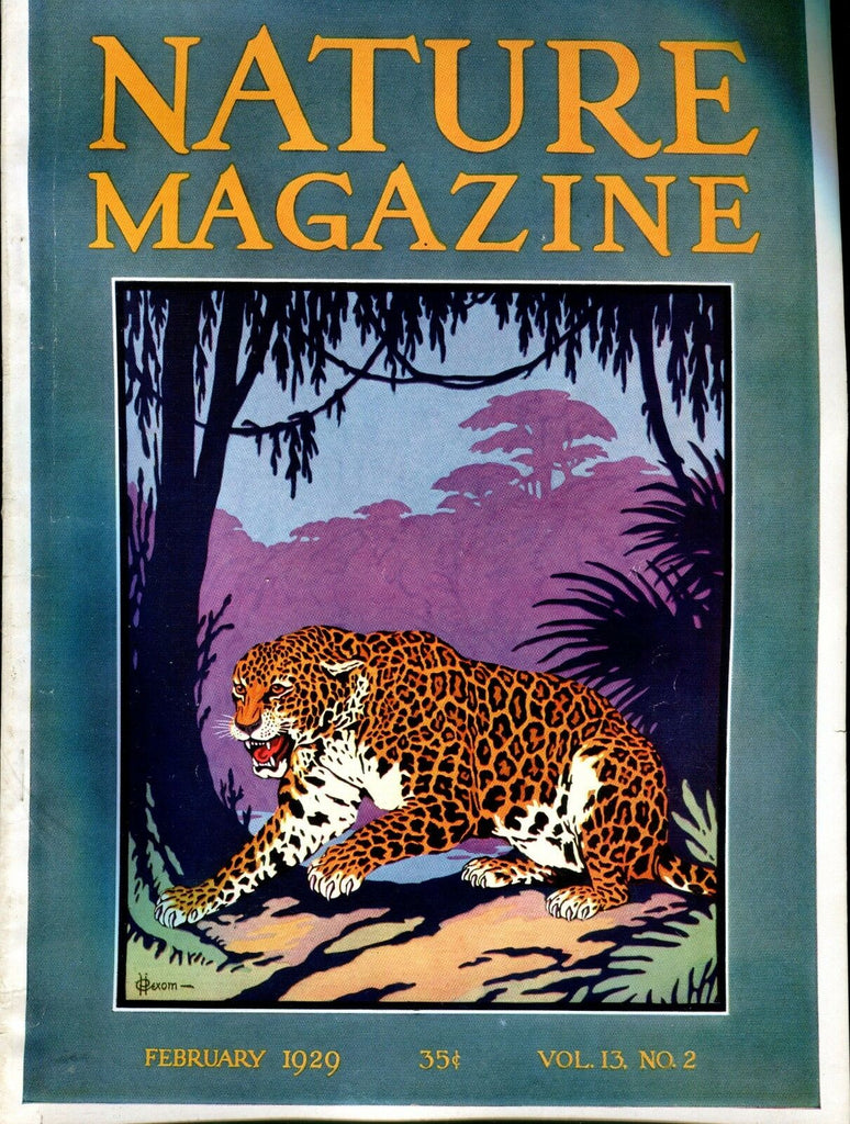 Nature Magazine February 1929 Tiger VG No ML 020817jhe