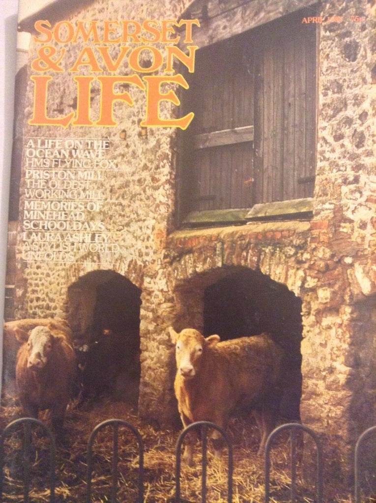 Somerset & Avon Life Magazine Life On Ocean Wave April 1984 091317nonrh