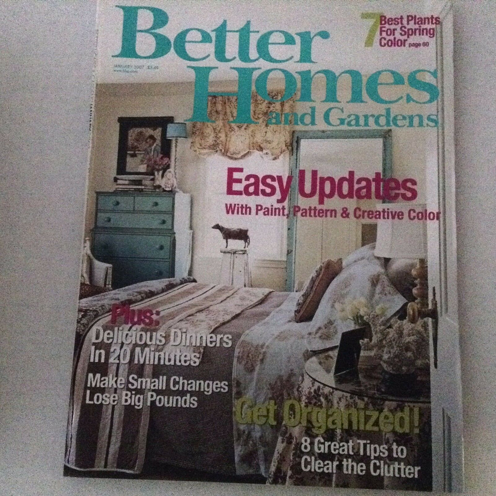 Better Homes And Gardens Magazine Paint Pattern January 2007 061717nonrh2