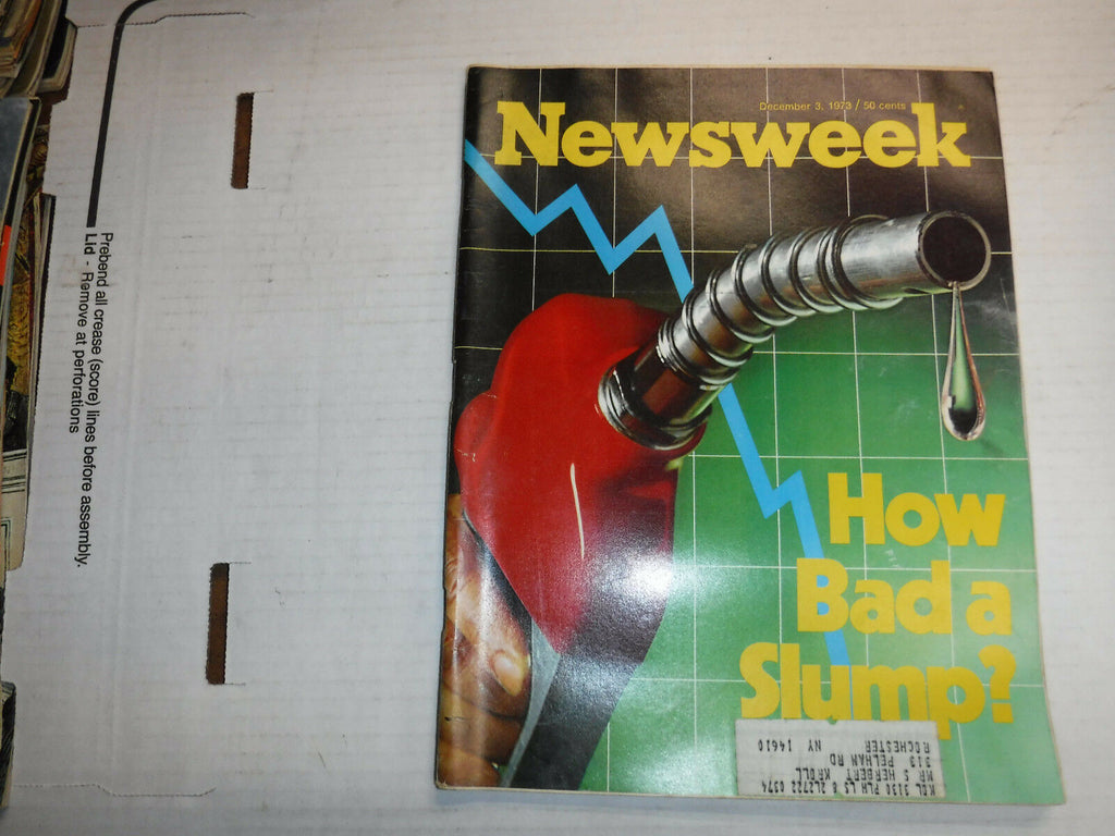 Newsweek Magazine Economic Slumps December 3, 1973 100316R
