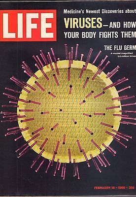 Life Magazine February 18 1966 Birthday Virus VG 050316DBE