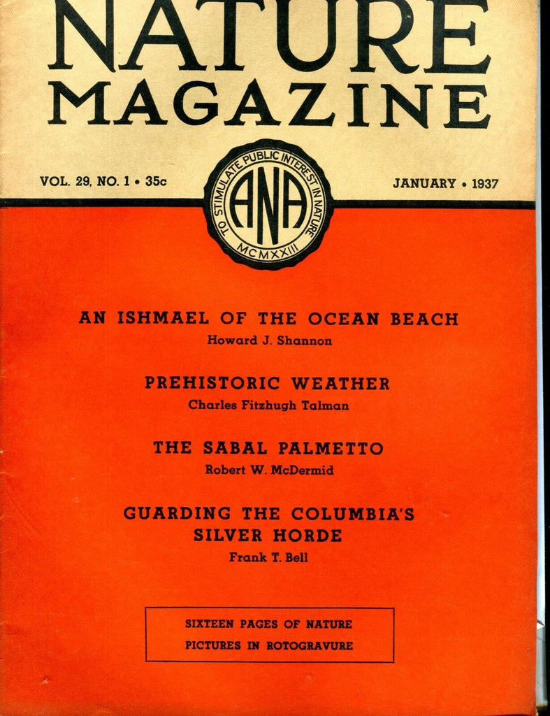 Nature Magazine January 1937 Sabal Palmetto VG No ML 020817jhe