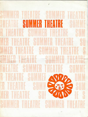 The Summer Theater Rockford Illinois 1970 The Owl And The Pussycat EX 051316jhe