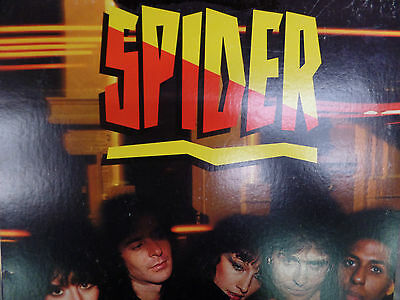 SPIDER 33RPM EX 120415 TLJ